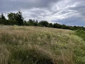 Prodej zahrady, Oslavany, 3447 m2