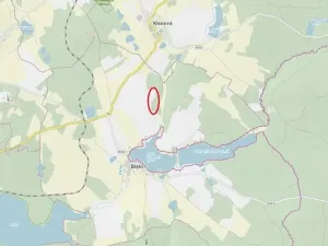 Prodej lesa, Nová Bystřice, 708 m2