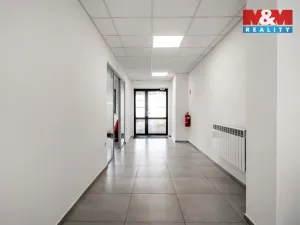 Pronájem kanceláře, Děčín - Děčín II-Nové Město, Benešovská, 320 m2