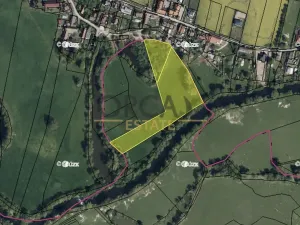 Prodej louky, Běleč nad Orlicí, 15624 m2