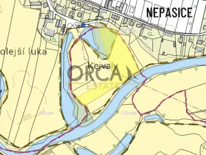 Prodej louky, Běleč nad Orlicí, 15624 m2