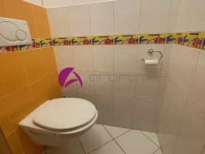 Pronájem bytu 3+1, Olomouc, Polská, 75 m2