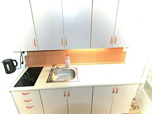 Pronájem bytu 1+kk, Praha - Nové Město, Na zbořenci, 24 m2