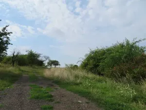Dražba zahrady, Ploskovice, 23378 m2