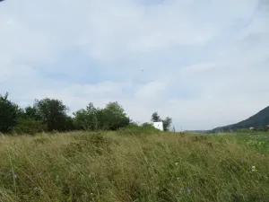 Dražba zahrady, Ploskovice, 23378 m2