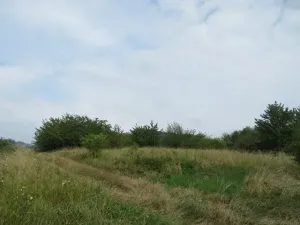 Dražba zahrady, Ploskovice, 23378 m2