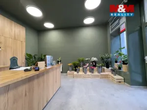 Prodej rodinného domu, Louny, Pražská, 173 m2