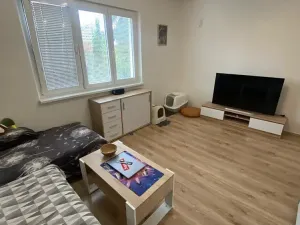 Pronájem bytu 2+1, Zlín, Padělky III, 68 m2