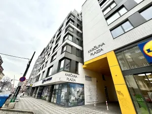 Pronájem bytu 1+kk, Praha - Karlín, Sokolovská, 40 m2