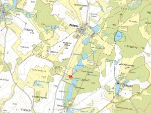 Prodej lesa, Počátky, 4120 m2