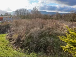 Prodej pozemku pro bydlení, Liberec, Na Mlýnku, 18685 m2