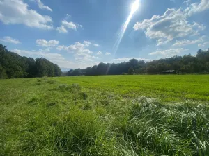 Prodej rodinného domu, Horní Bludovice, 524 m2