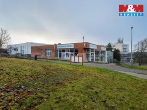 Pronájem obchodního prostoru, Ústí nad Labem - Severní Terasa, Šrámkova, 44 m2