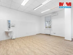 Pronájem obchodního prostoru, Ústí nad Labem - Severní Terasa, Šrámkova, 33 m2