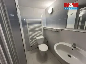 Pronájem bytu 1+1, Louny - Nečichy, 43 m2