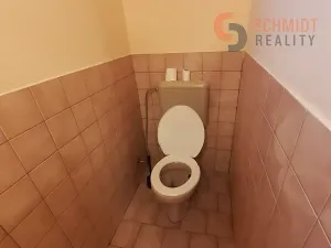 Pronájem obchodního prostoru, Kostice, 34 m2