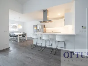 Pronájem bytu 6+kk a větší, Praha - Staré Město, Dušní, 218 m2