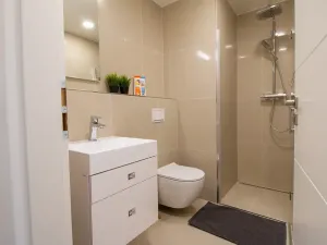 Pronájem bytu 2+kk, Praha - Vinohrady, Perucká, 45 m2