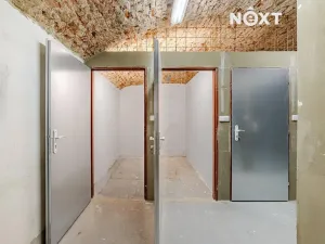 Prodej - jiné, Praha - Nové Město, Palackého náměstí, 21 m2