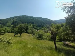 Prodej komerční, Huslenky, 150 m2