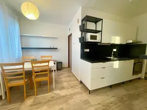 Pronájem bytu 1+1, Čížkovice, Na sídlišti, 41 m2