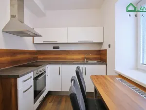 Pronájem bytu 1+1, Brno, Jeneweinova, 47 m2