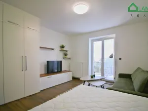 Pronájem bytu 1+1, Brno, Jeneweinova, 47 m2