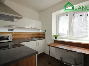 Pronájem bytu 1+1, Brno, Jeneweinova, 47 m2