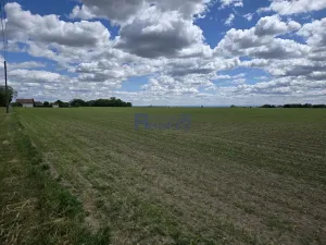 Prodej pozemku pro bydlení, Osice, 4000 m2