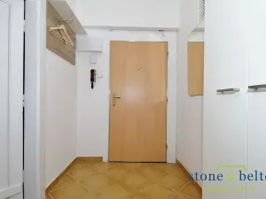 Pronájem bytu 1+1, Praha - Žižkov, Viklefova, 49 m2