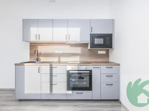 Pronájem bytu 1+kk, Kralupy nad Vltavou, S. K. Neumanna, 38 m2