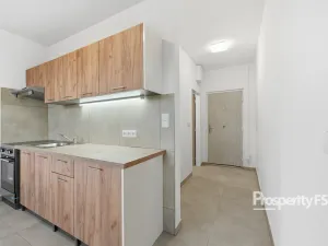 Pronájem bytu 1+1, Ústí nad Labem - Neštěmice, Seifertova, 35 m2