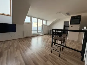 Pronájem bytu 1+kk, Brno, Táborská, 48 m2