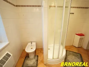 Prodej bytu 5+1, Brno, Střední, 178 m2