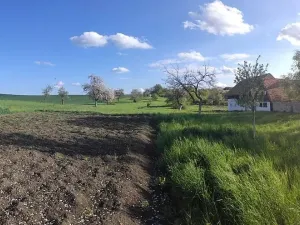 Prodej domu, Běchary, 686 m2