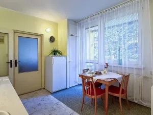 Prodej bytu 2+1, Brno, Chopinova, 58 m2