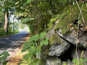 Dražba pozemku, Krompach, 21972 m2