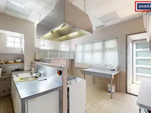 Prodej rodinného domu, Bučovice, Slovenská, 900 m2