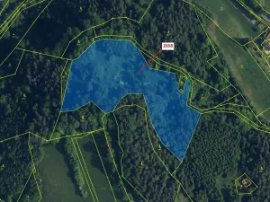 Dražba louky, Český Dub, 16722 m2