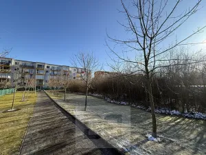 Pronájem bytu 2+kk, České Budějovice, Husova tř., 53 m2