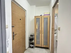 Prodej bytu 1+kk, Kladno, Na růžovém poli, 27 m2