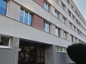 Pronájem bytu 1+kk, Hradec Králové, Na Kotli, 30 m2