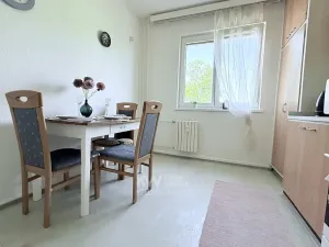 Prodej bytu 2+1, Mladá Boleslav, Laurinova, 65 m2