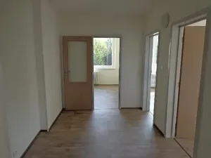 Pronájem bytu 3+1, Ústí nad Labem, Dr. Horákové, 90 m2