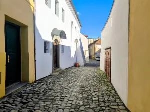 Prodej atypického bytu, Třebíč, Na Úbočí, 85 m2