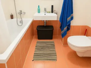 Pronájem bytu 1+kk, Brno, Botanická, 50 m2