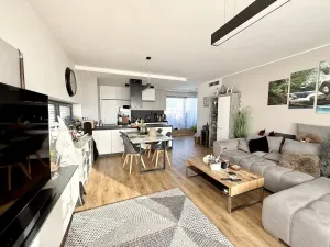 Pronájem bytu 3+kk, Brno, Kumpoštova, 152 m2