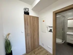 Pronájem bytu 3+kk, Rostěnice-Zvonovice - Rostěnice, 65 m2