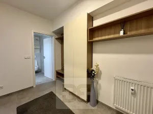 Pronájem bytu 1+kk, Brno, Husovická, 40 m2