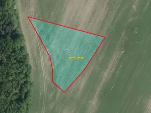 Prodej pole, Horka, 5539 m2